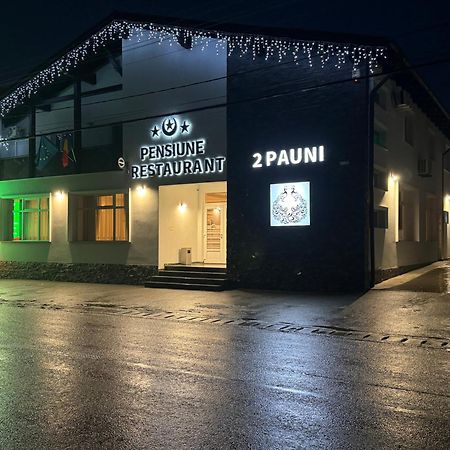 Pensiune Restaurant Pizzerie 2 Pauni Borsa  Luaran gambar