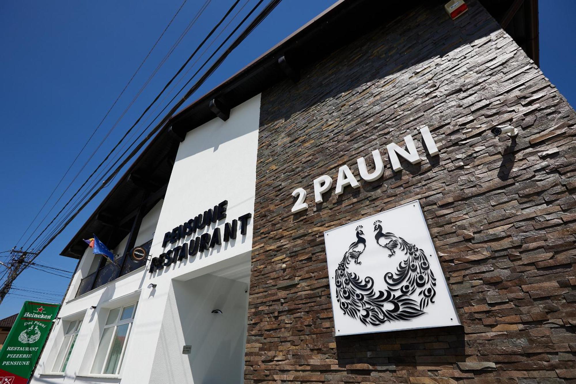 Pensiune Restaurant Pizzerie 2 Pauni Borsa  Luaran gambar