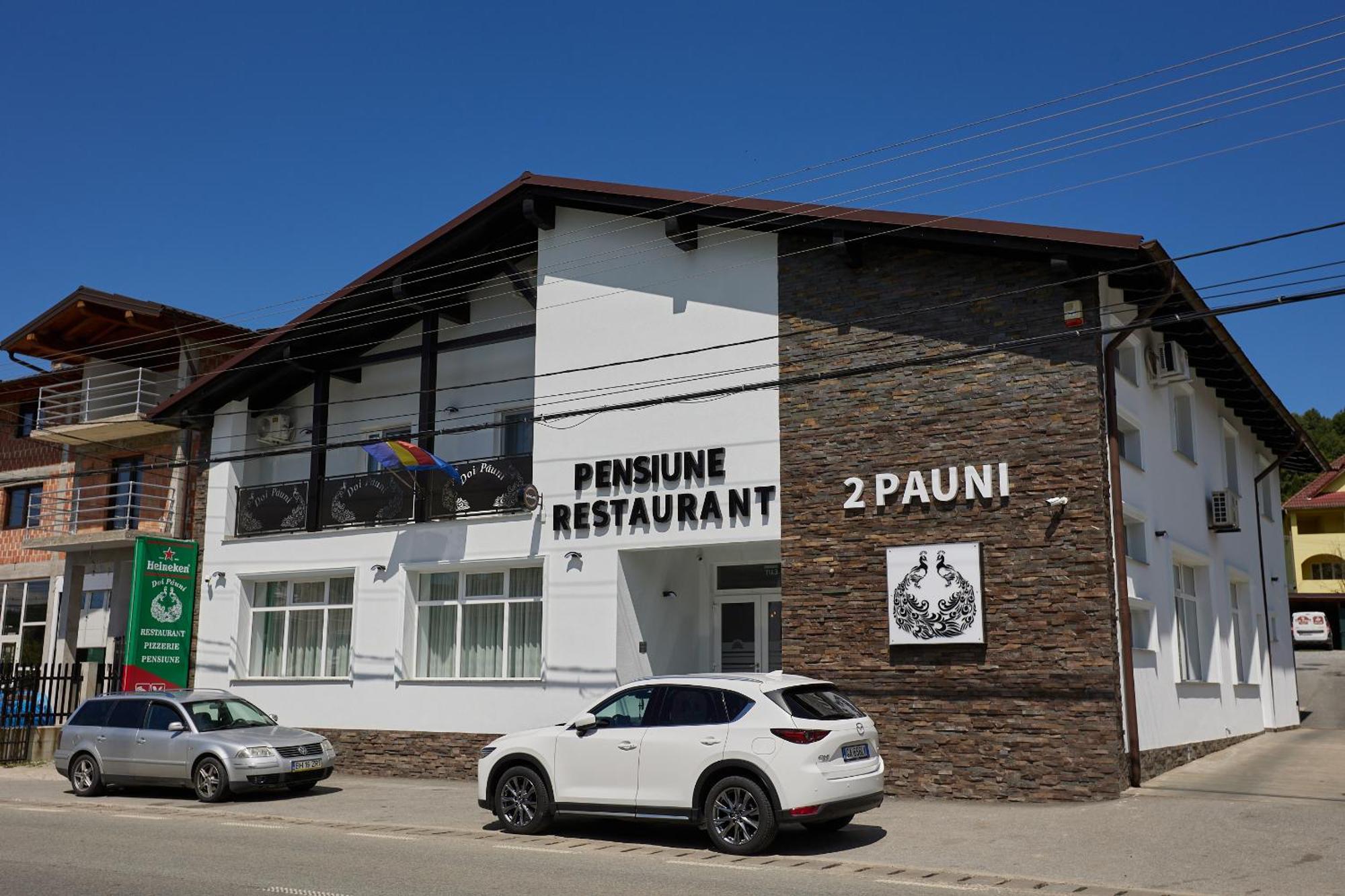 Pensiune Restaurant Pizzerie 2 Pauni Borsa  Luaran gambar